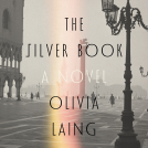 book cover for The Silver Book