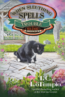 book cover for When Sleuthing Spells Trouble