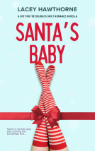 book cover for Santa's Baby
