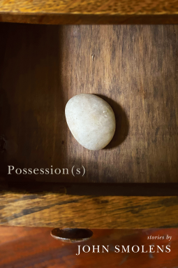 book cover for Possession(s)