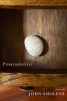 book cover for Possession(s)