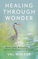 book cover for Healing Through Wonder