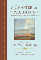 book cover for A Chapter of Accidents