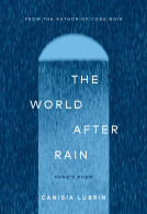 book cover for The World After Rain