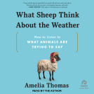 book cover for What Sheep Think About the Weather