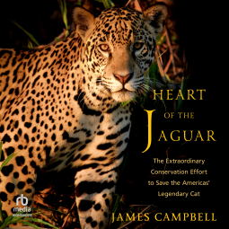 book cover for Heart of the Jaguar