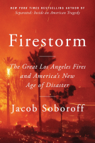 book cover for Firestorm