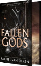 book cover for Fallen Gods