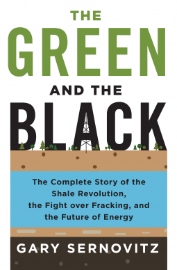 book cover for The Green and the Black