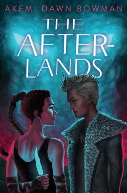 book cover for The Afterlands