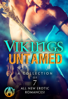 book cover for Vikings Untamed
