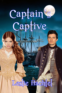 book cover for Captain's Captive