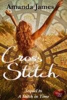 book cover for Cross Stitch (Choc Lit)