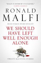book cover for We Should Have Left Well Enough Alone