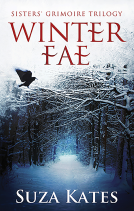 book cover for Winter Fae