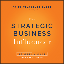 book cover for The Strategic Business Influencer