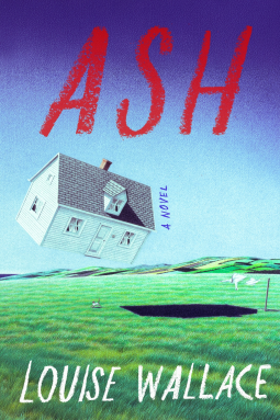 book cover for Ash