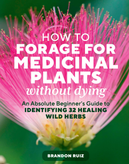 book cover for How to Forage for Medicinal Plants without Dying