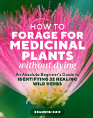 book cover for How to Forage for Medicinal Plants without Dying