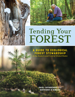 book cover for Tending Your Forest