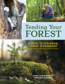 book cover for Tending Your Forest
