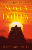 book cover for Never A Dull Day
