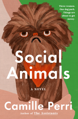 book cover for Social Animals