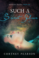 book cover for Such a Secret Place