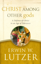 book cover for Christ Among Other gods