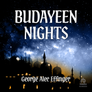 book cover for Budayeen Nights