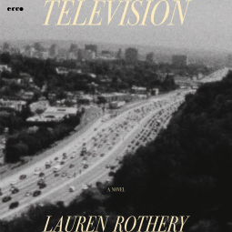 book cover for Television