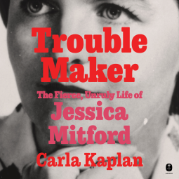 book cover for Troublemaker