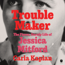 book cover for Troublemaker