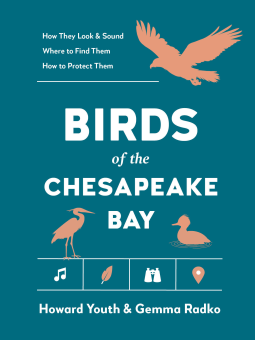 book cover for Birds of the Chesapeake Bay