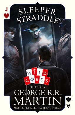 book cover for Sleeper Straddle