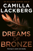 book cover for Dreams of Bronze