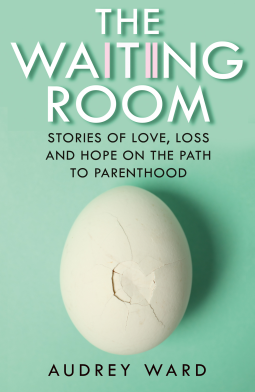 book cover for The Waiting Room