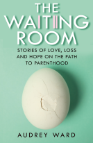 book cover for The Waiting Room