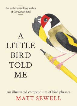 book cover for A Little Bird Told Me