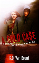 book cover for A Cold Case
