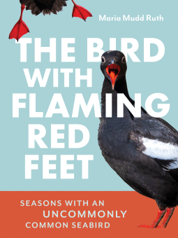 book cover for The Bird with Flaming Red Feet