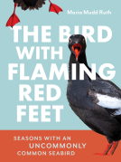book cover for The Bird with Flaming Red Feet