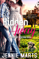 book cover for Hidden Away