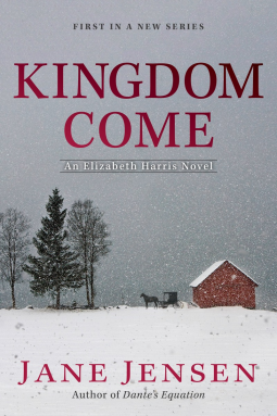 book cover for Kingdom Come