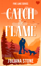book cover for Catch The Flame