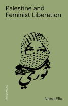 book cover for Palestine and Feminist Liberation