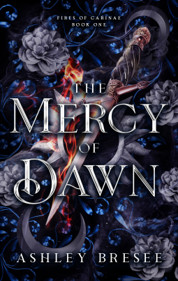 book cover for The Mercy of Dawn