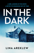 book cover for In the Dark