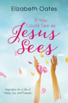 book cover for If You Could See as Jesus Sees