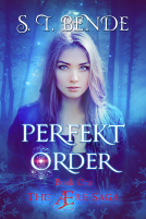 book cover for Perfekt Order